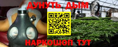 индика Обнинск